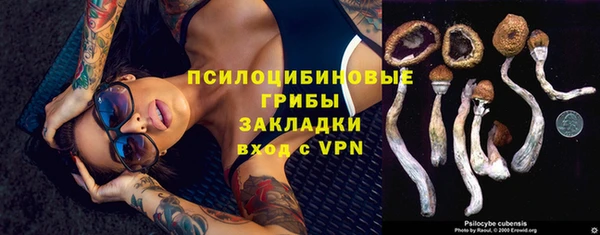 MDMA Premium VHQ Бородино
