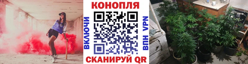 Шишки марихуана Ganja  Купить где  Вельск 
